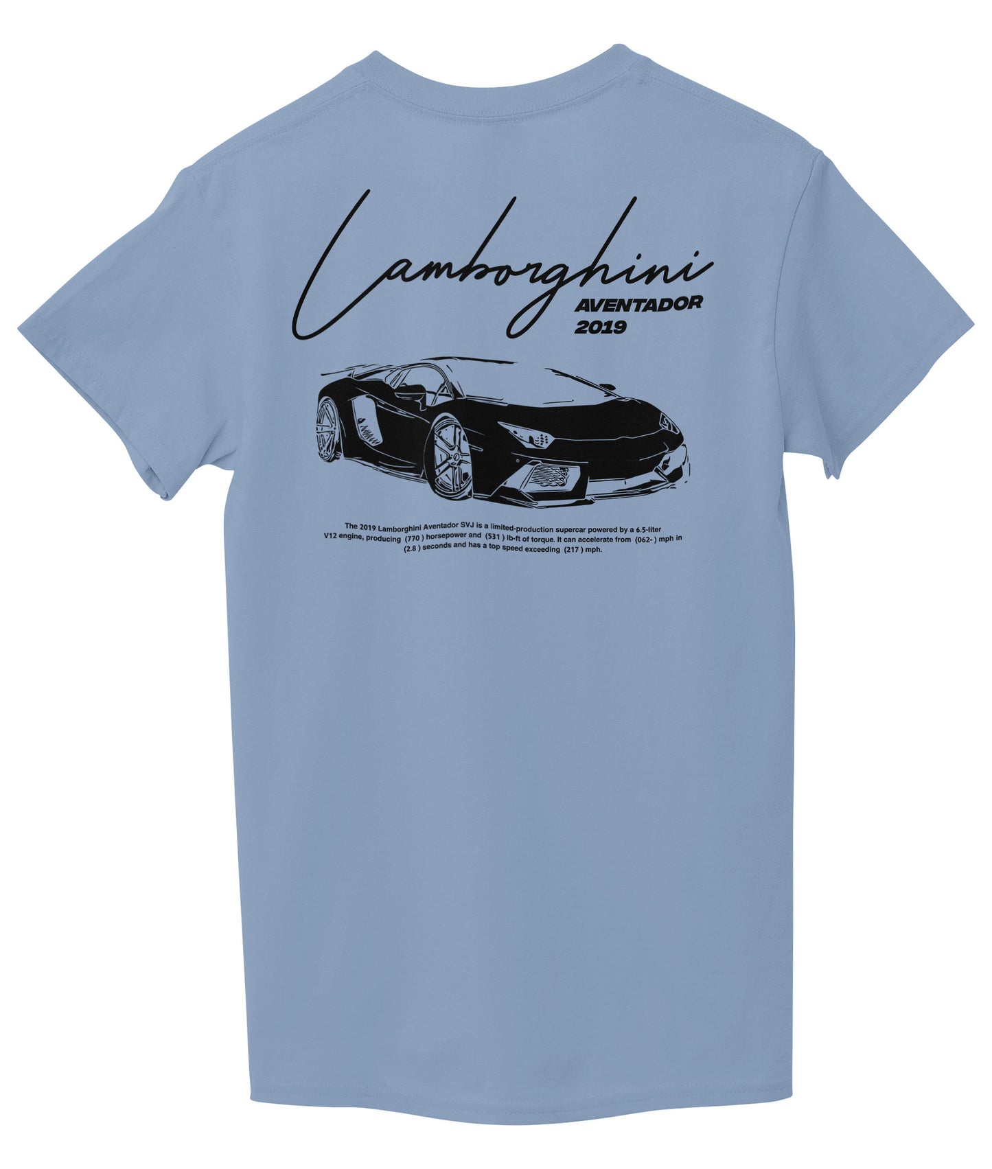 Light Sky Blue Back