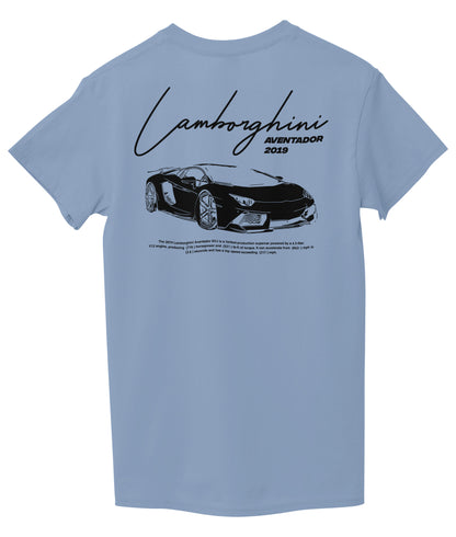 Light Sky Blue Back