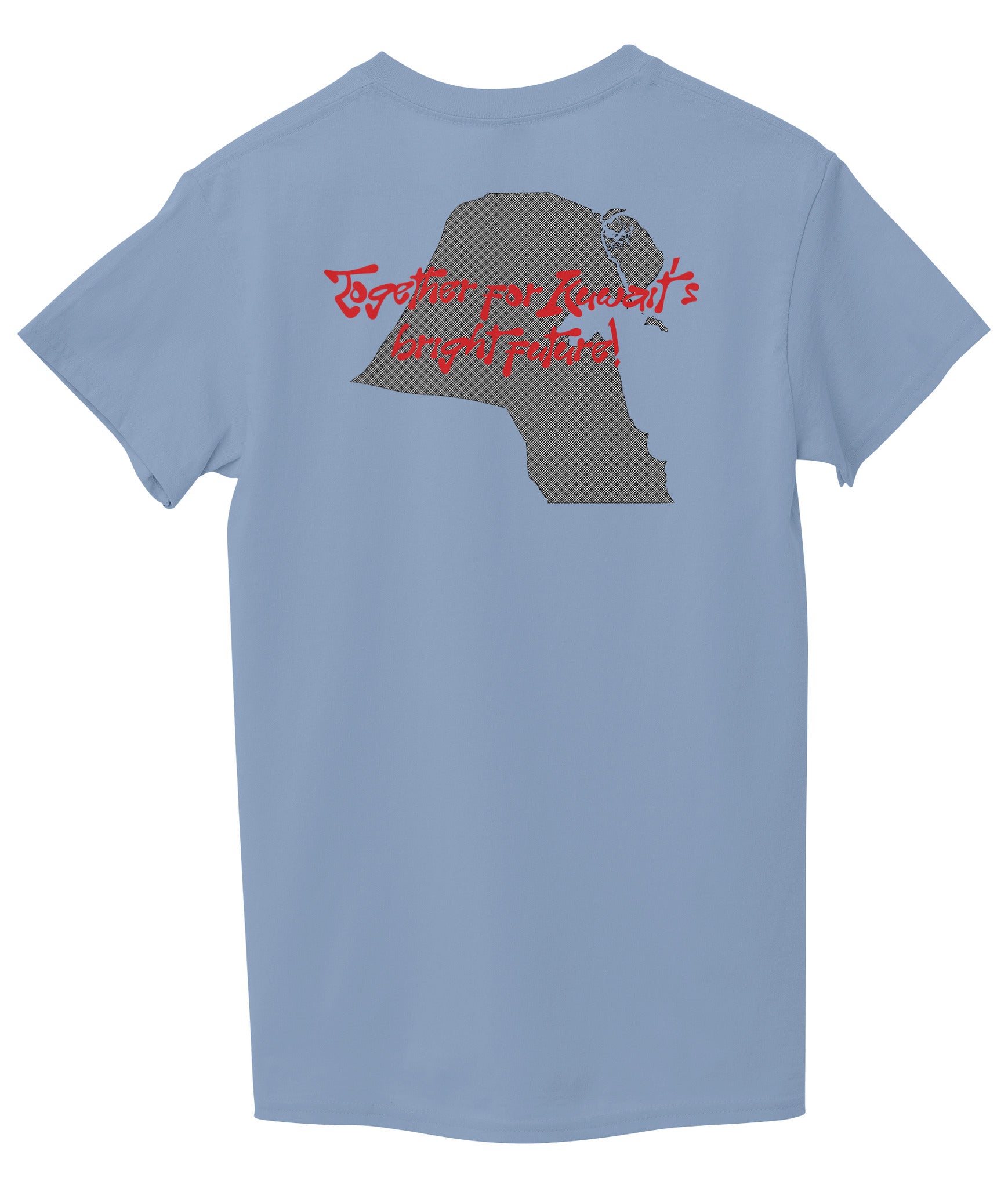 Light Sky Blue Back