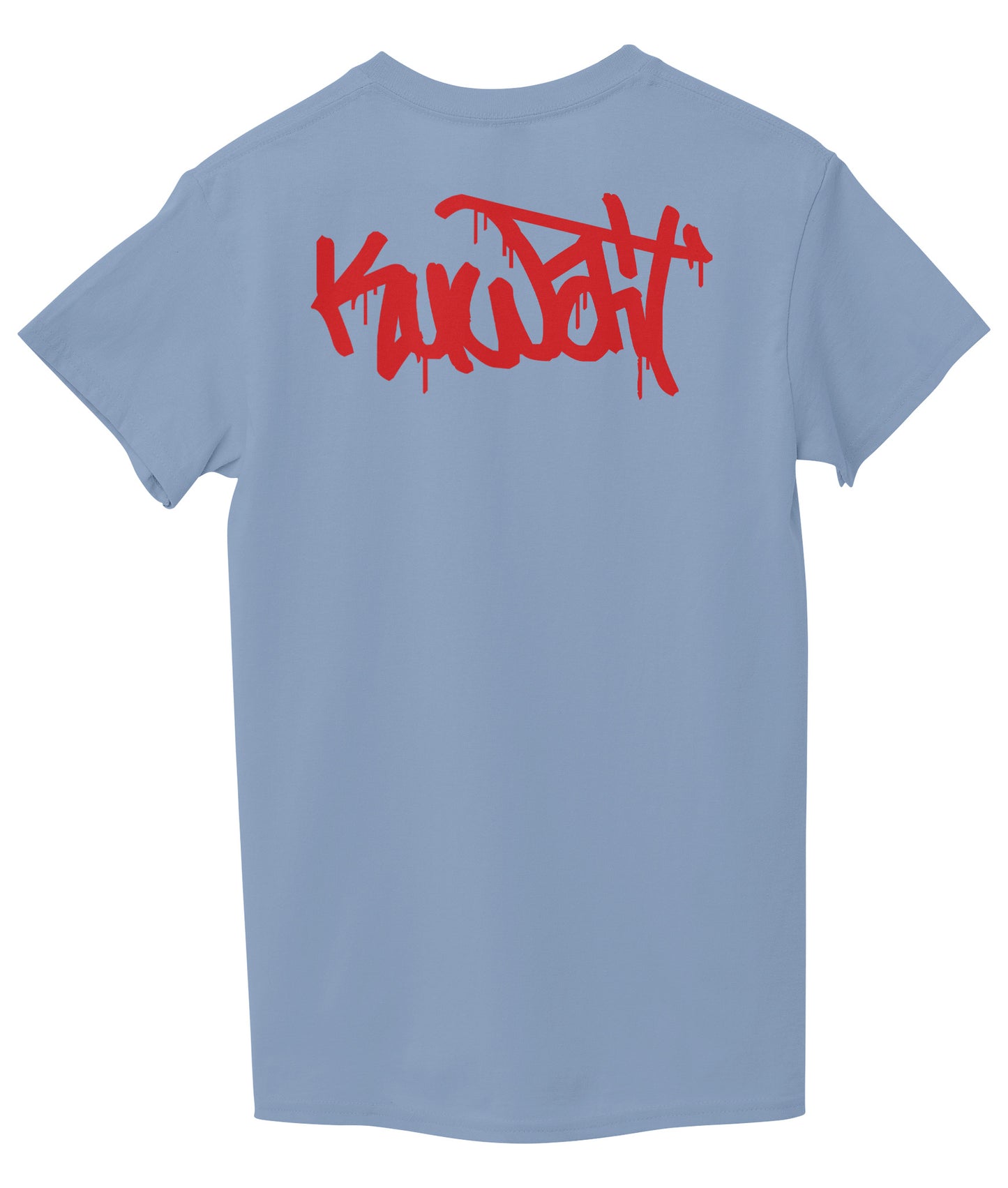 Light Sky Blue Back