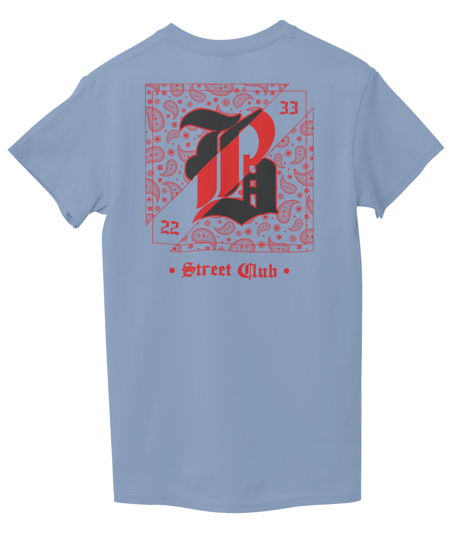 Light Sky Blue Back