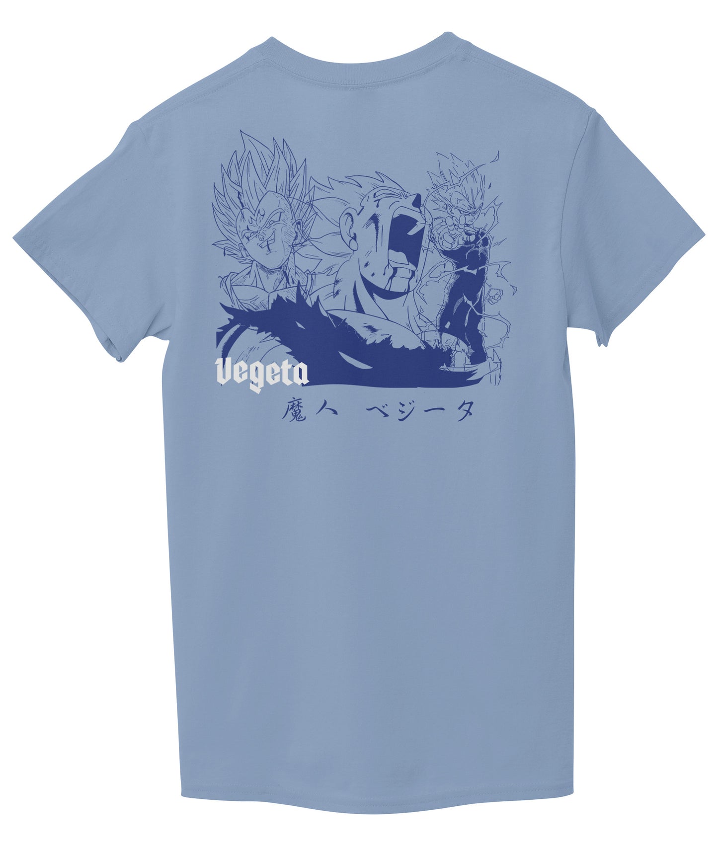 Light Sky Blue Back