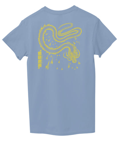 Light Sky Blue Back