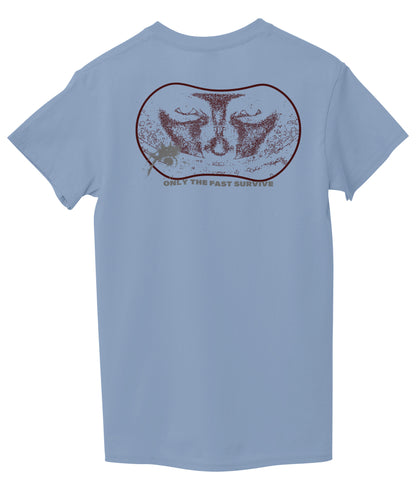 Light Sky Blue Back
