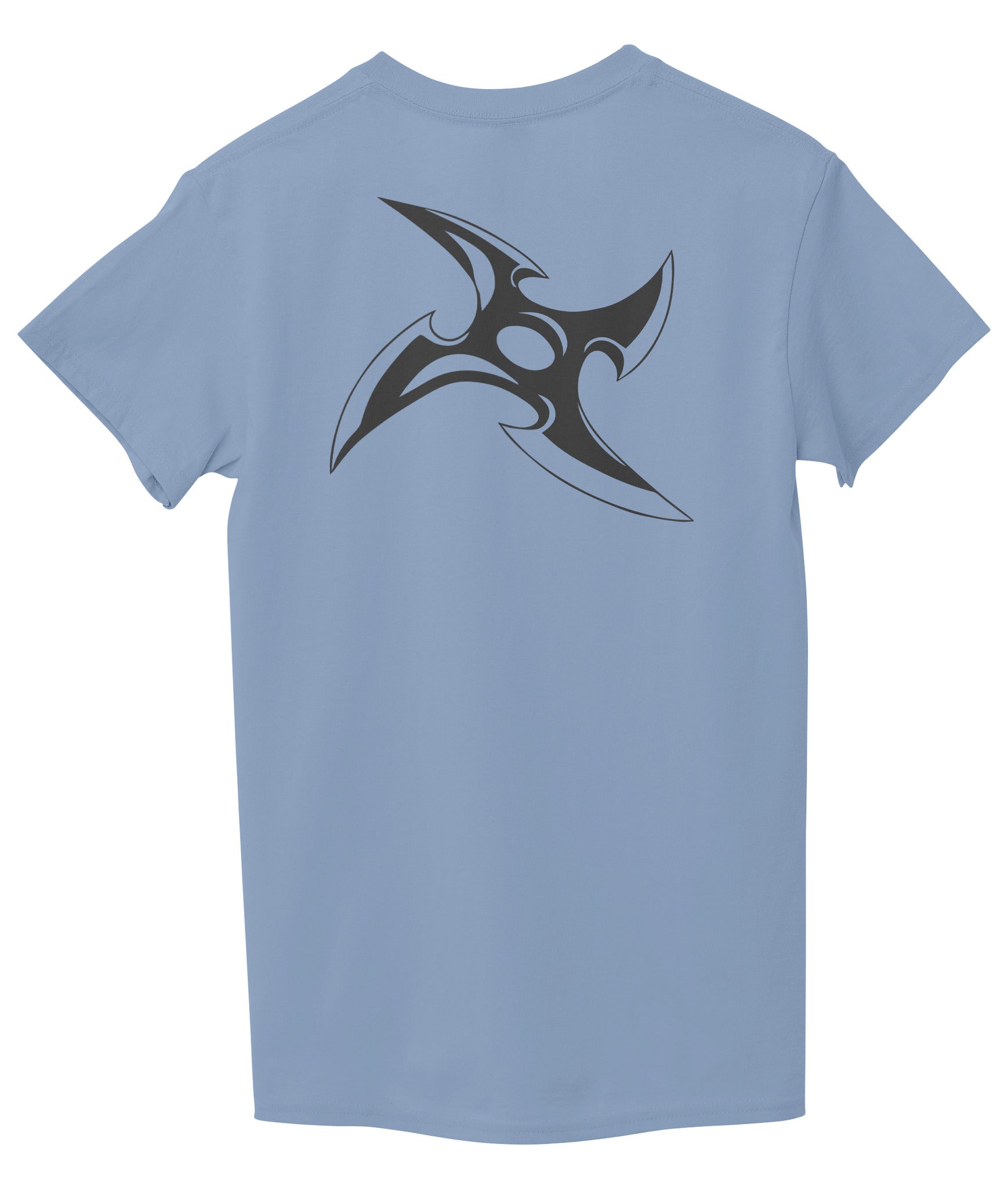 Light Sky Blue Back