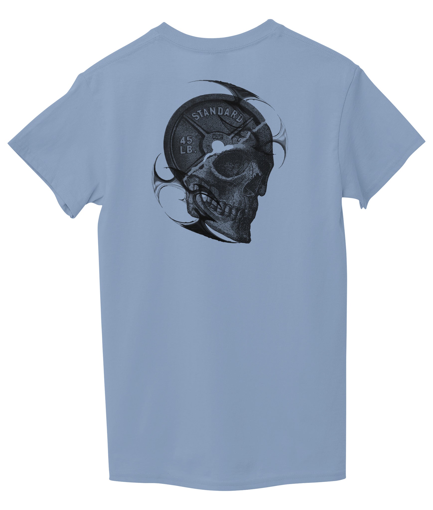 Light Sky Blue Back