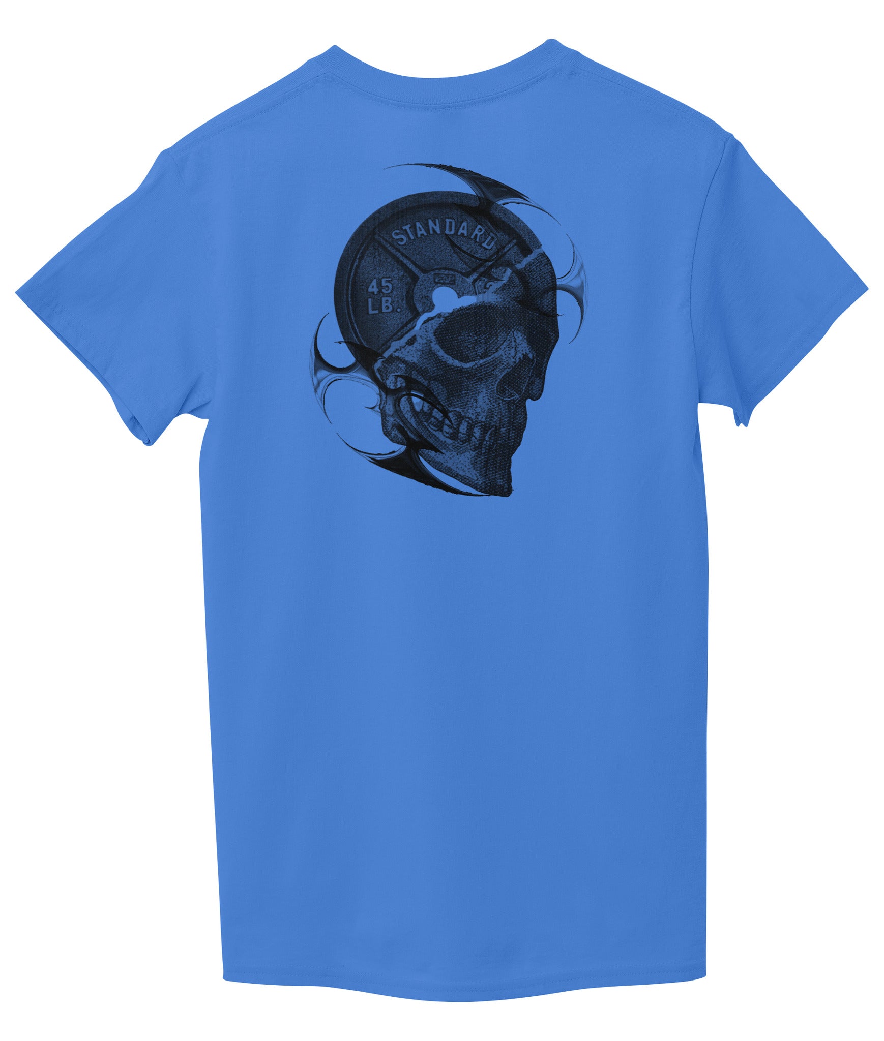 Sky Blue Back