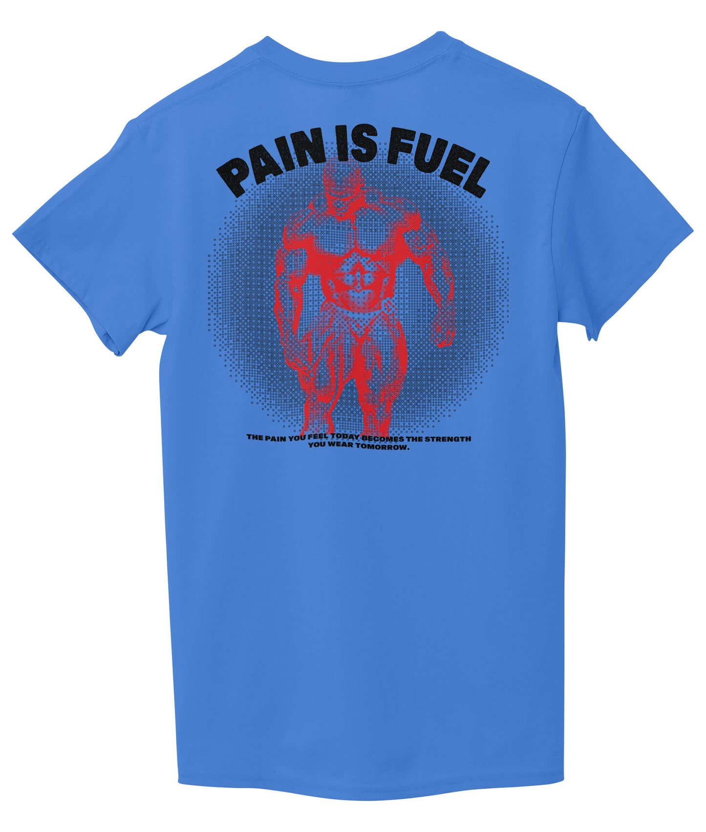 Sky Blue Back