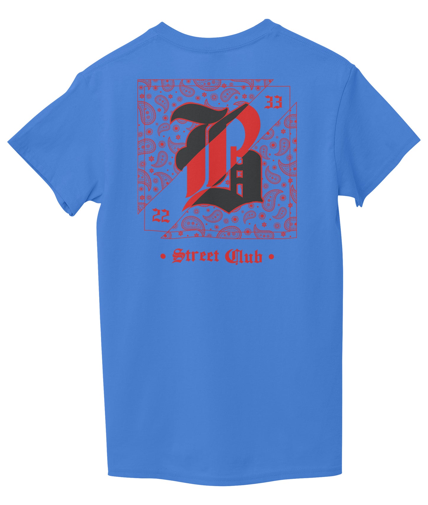 Sky Blue Back