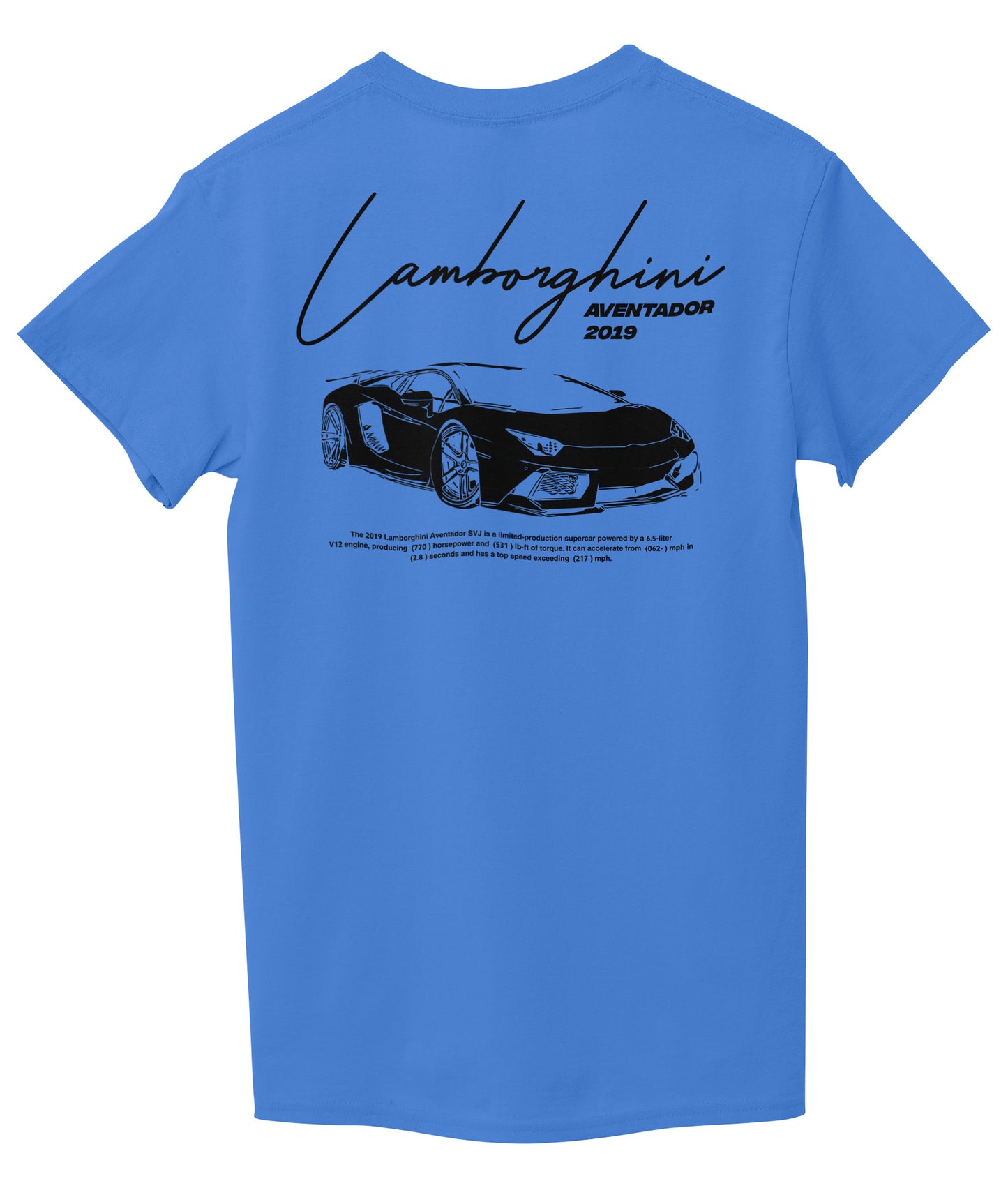 Sky Blue Back