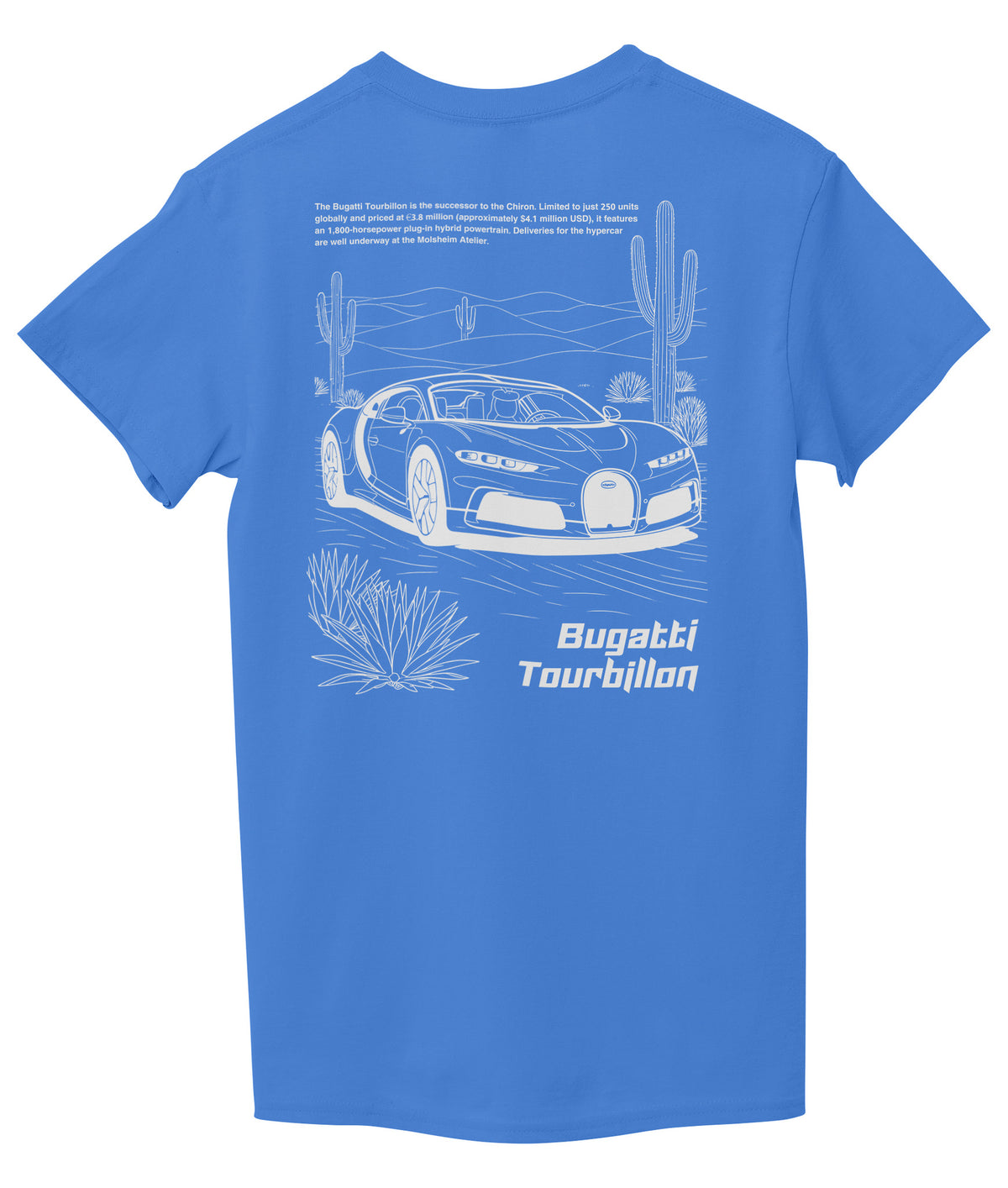 Sky Blue Back